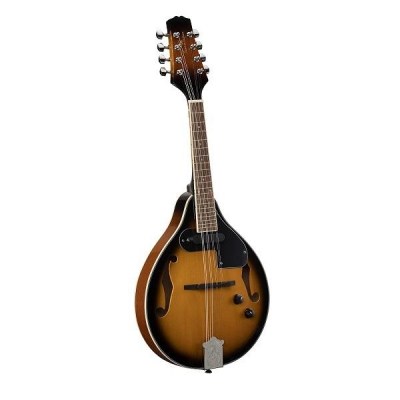 SOUNDSATION BMA-60E VS   mandolino piatto elettrificato